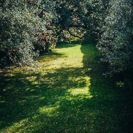 Quinta De Casevel - Terra Cheia Séjour à la campagne *