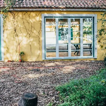 Quinta De Casevel - Terra Cheia Séjour à la campagne