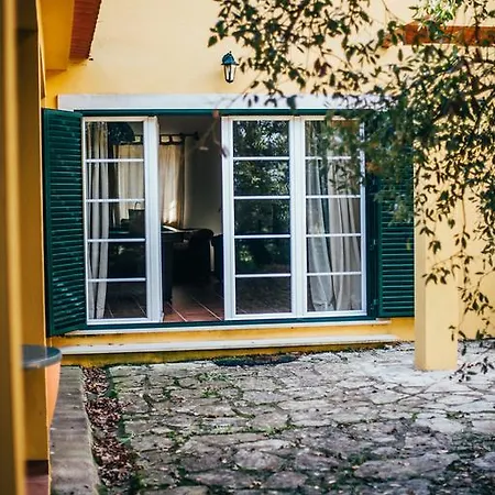 Quinta De Casevel - Terra Cheia