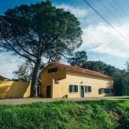 Quinta De Casevel - Terra Cheia *